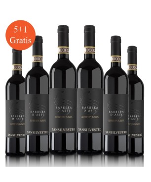 Barbera d'Asti DOCG 2020 - Sansilvestro [5+1 gratis]