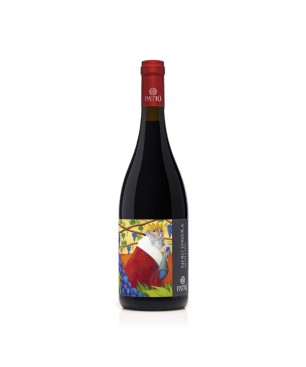 Nero d'Avola Leggermente Appassito Sicilia DOC 2019 - Cantine Patrì