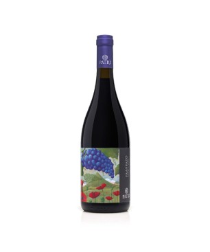 Frappato Sicilia DOC 2019 - Cantine Patrì