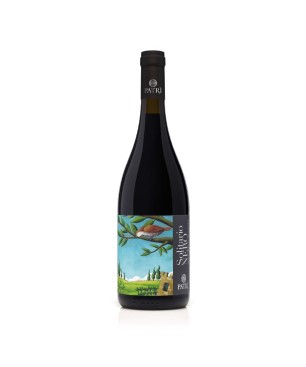 Nero d'Avola Sicilia DOC Solitario Nero 2019 - Cantine Patrì