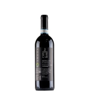 Merlot Cortona DOC 1,618 2016 - Leuta