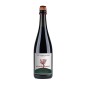 Lambrusco Rosso Emilia IGT Montelocco - Venturini Baldini