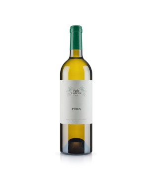 Traminer Piemonte DOC Föra 2016 - Paolo Conterno