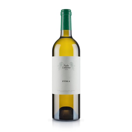 Traminer Piemonte DOC Föra 2016 - Paolo Conterno