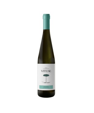 Sauvignon Sicilia DOC Vitese 2020 - Colomba Bianca