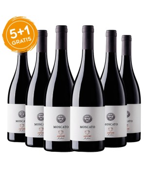 Moscato Toscana Bianco IGT Le Anfore 2019 - Elena Casadei [5+1 gratis]