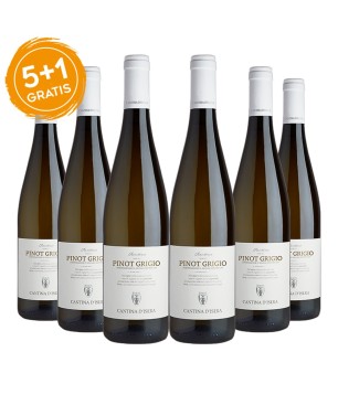 Pinot Grigio Trentino DOC 2022 - Cantina D'Isera [5+1 gratis]