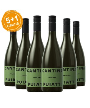 Friulano Friuli Isonzo DOC 2021 - Puiatti [5+1 gratis]