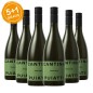 Friulano Friuli Isonzo DOC 2021 - Puiatti [5+1 gratis]