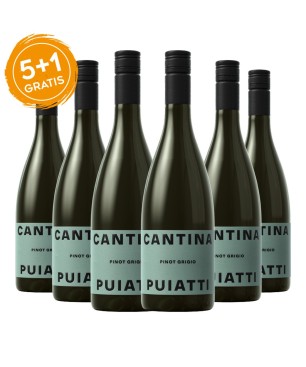 Pinot Grigio Venezia Giulia IGT 2021 - Puiatti [5+1 gratis]