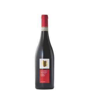 Sagrantino di Montefalco DOCG 2016 - Roccafiore