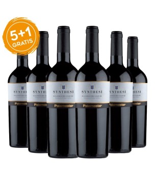 Aglianico del Vulture DOC Synthesi 2018 - Paternoster [5+1 gratis]