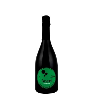 Prosecco Asolo Superiore BIO DOCG N.7 Leone - Aneri