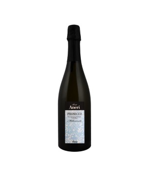 Prosecco DOC Brut Millesimato 2020 - Aneri