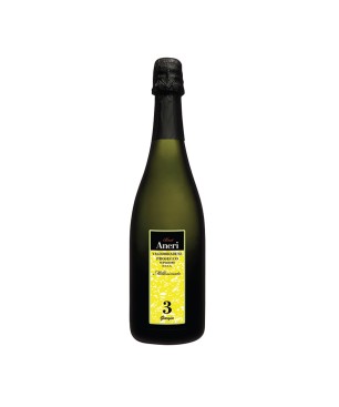 Prosecco Valdobbiadene Superiore DOCG N.3 Giorgia Brut Millesimato 2020 - Aneri