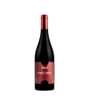 Pinot Nero Veneto IGT Ale 2018 - Aneri