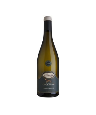 Pinot Grigio Collio DOC Villa Canlungo 2020 - Collavini