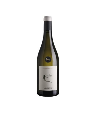 Chardonnay Collio DOC Sassi Cavi 2020 - Collavini