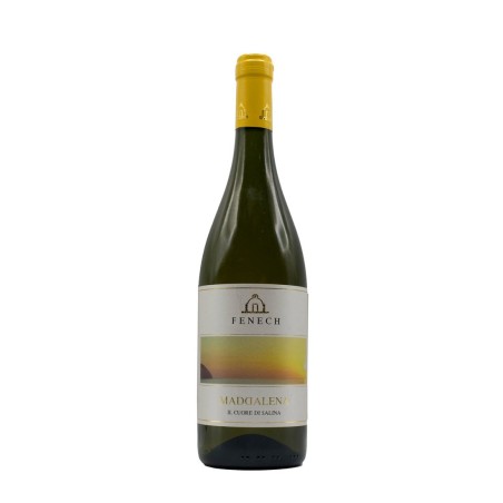 Malvasia Maddalena 2020 - Fenech