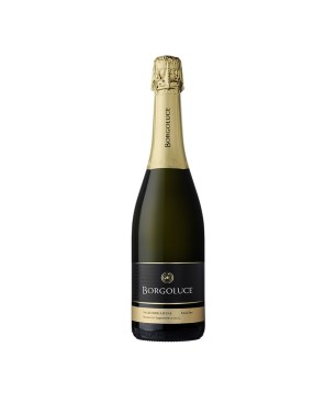 Prosecco Valdobbiadene Superiore DOCG Extra Dry - Borgoluce