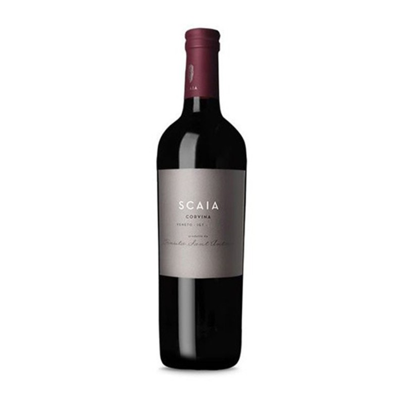 Corvina Veneto IGT Scaia Rosso 2019 - Tenuta Sant'Antonio