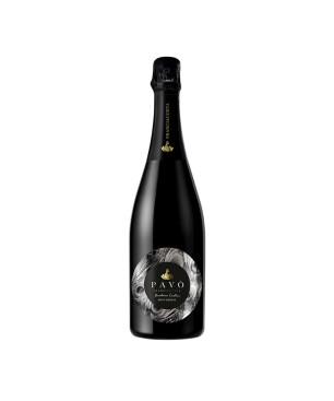 Franciacorta Riserva DOCG Brut Girolamo Cristini 2015 - Pavò