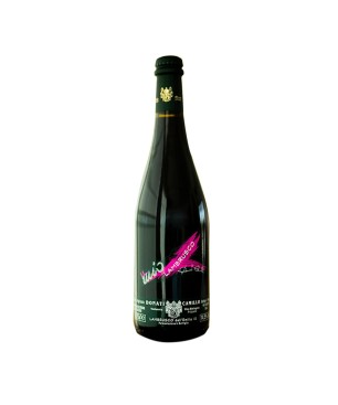 Lambrusco Emilia IGT Il Mio 2020 - Camillo Donati