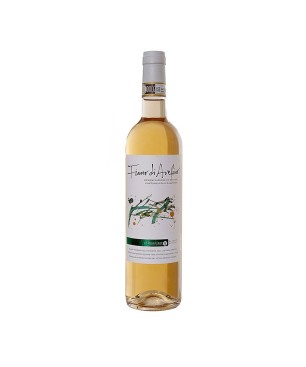 Fiano di Avellino DOCG 2020 - Le Masciare