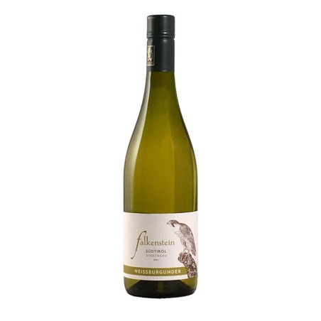 Sauvignon Alto Adige DOC 2019 - Falkenstein