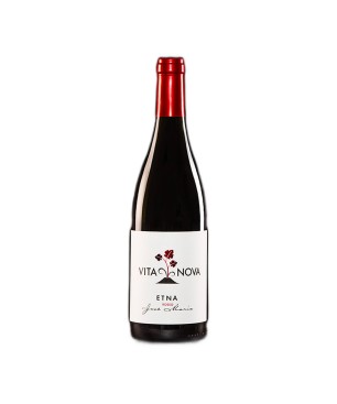 Etna Rosso DOC Josè Maria 2019 - Vita Nova