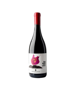 Etna Rosso DOC Contrada di Villagrande 2017 - Barone di Villagrande