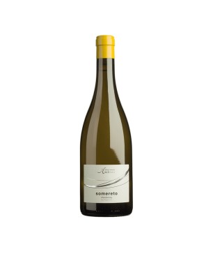 Chardonnay Alto Adige DOC Somereto 2021 - Andrian