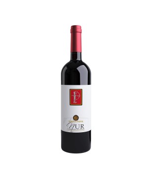 Carignano del Sulcis DOC Nur 2019 - Sardus Pater