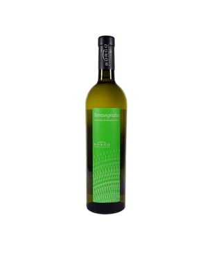 Verdicchio di Matelica DOC Terravignata 2021 - Borgo Paglianetto