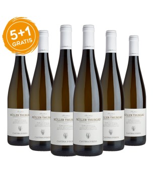 Müller Thurgau Trentino DOC 2021 - Cantina D'Isera [5+1 gratis]