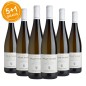 Müller Thurgau Trentino DOC 2021 - Cantina D'Isera [5+1 gratis]