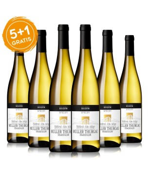 Müller Thurgau Alto Adige DOC 2020 - Cantina Bolzano [5+1 gratis]