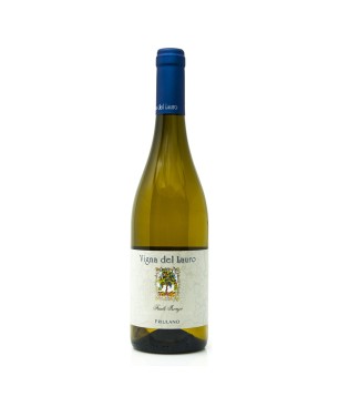 Friulano Friuli Isonzo DOC 2021 - Vigna del Lauro