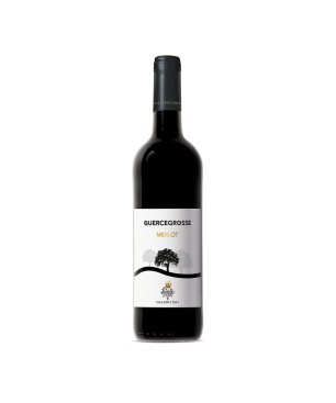 Merlot Toscana IGT Quercegrosse 2019 - Vallepicciola