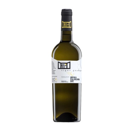 Falanghina Irpinia DOC 2021 - Vigne Guadagno