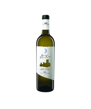 Pinot Grigio Terre di Chieti IGT Borgo Thaulero 2021 - Casal Thaulero