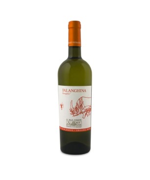 Falanghina Molise DOC 2021 - Di Majo Norante