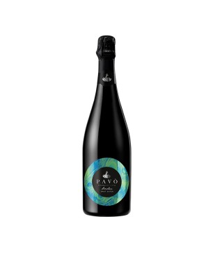 Franciacorta DOCG Saten Brut - Pavò