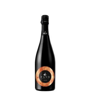 Franciacorta DOCG Nature - Pavò [Magnum]