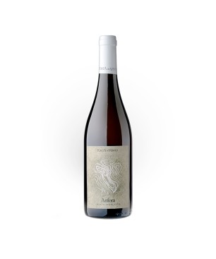 Anfora Bianco Terre Siciliane IGT 2019 - Porta del Vento