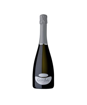 Prosecco Valdobbiadene DOCG Brut Millesimato 2021 - Col dé Salici