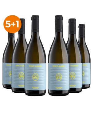 Sauvignon Friuli DOC 2020 - Bosco Albano [5+1 gratis]