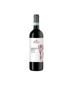 Valpolicella Ripasso Superiore DOC Balt 2019 - Adalia