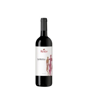 Valpolicella DOC Laute 2020 - Adalia