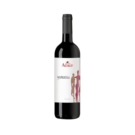 Valpolicella DOC Laute 2020 - Adalia